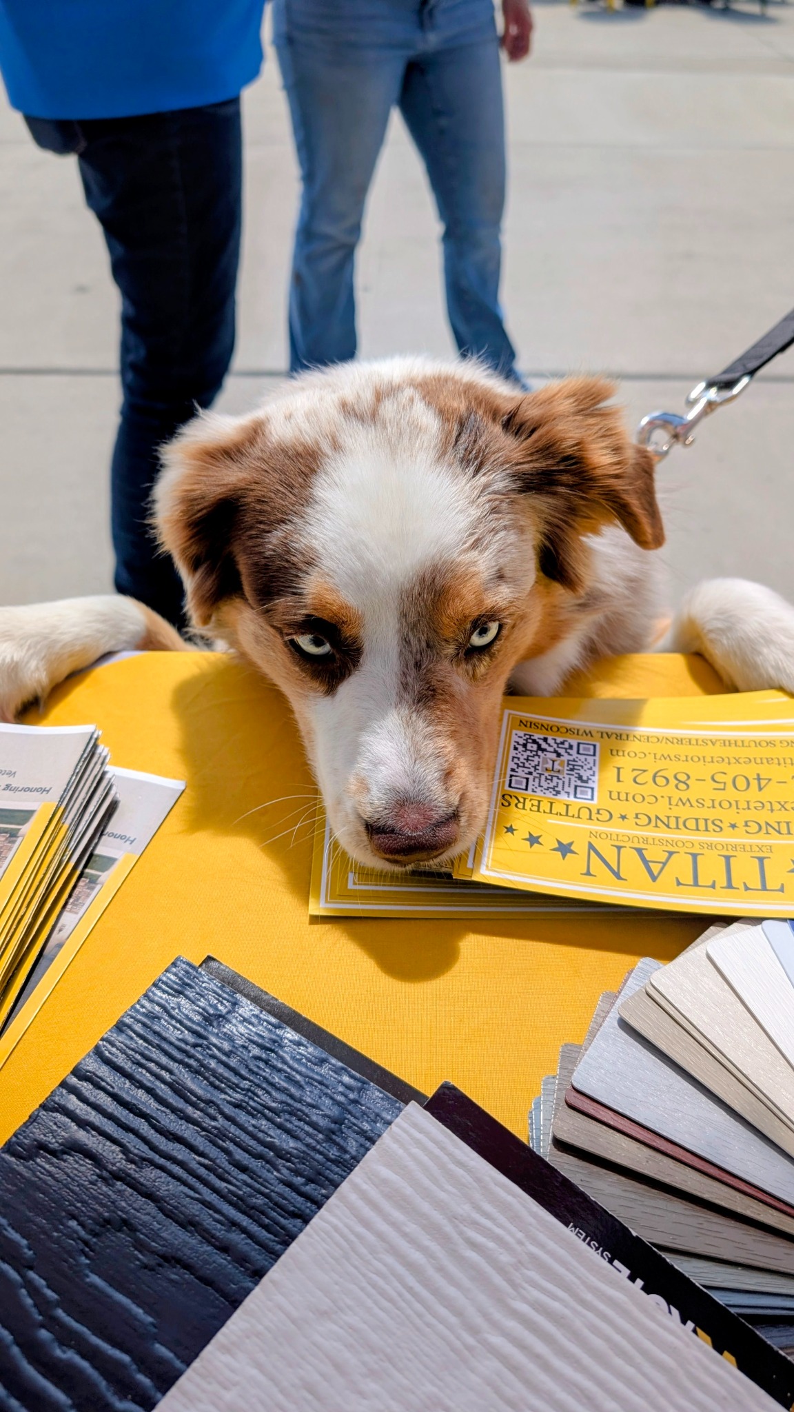 Dog visiting the Titan booth beside exterior siding samples